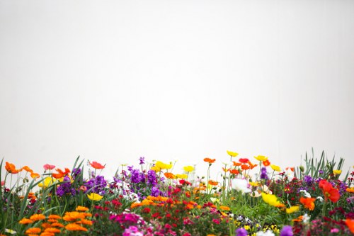 Customers enjoying Flowers All Day arrangements