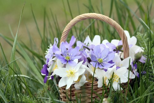 Happy customer receiving a flower delivery