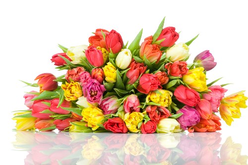 Future innovations in floral arrangements