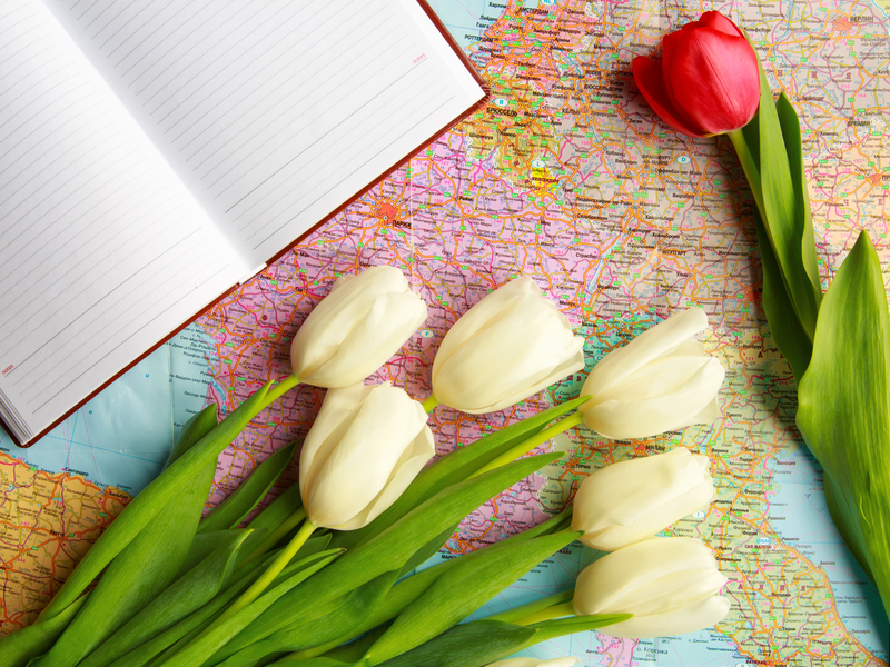 wedding flowers bouquets